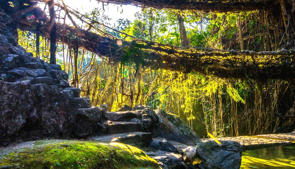 MEGHALAYA