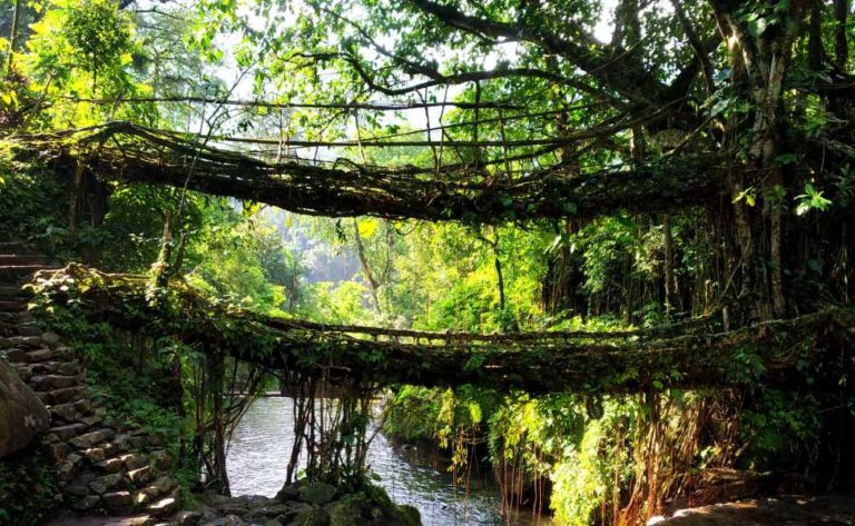 Meghalaya – Nature’s Hidden Paradise