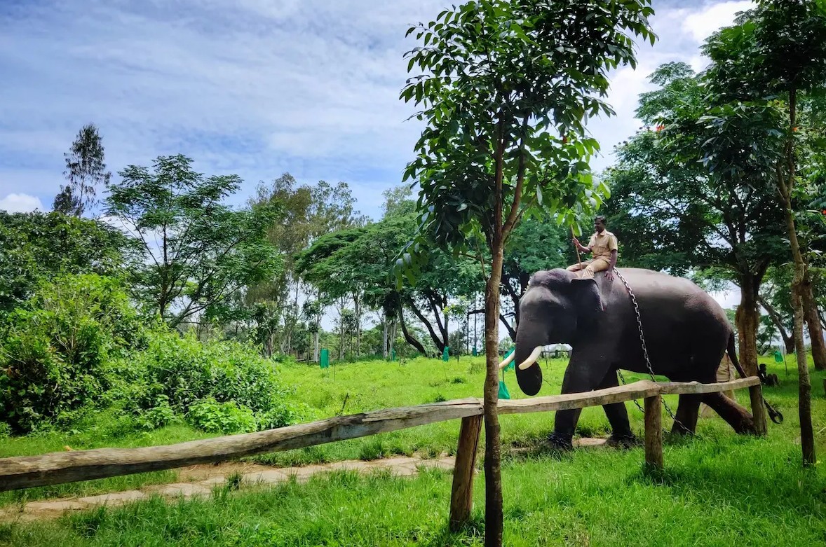 Coorg and Chikmagalur