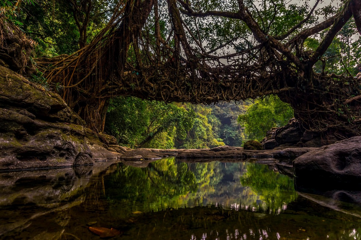 The Offbeat Escape to Meghalaya ⛰️