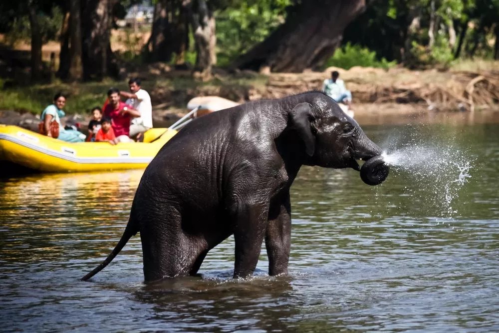 Coorg - Ooty Backpacking Escape – 5D/4N