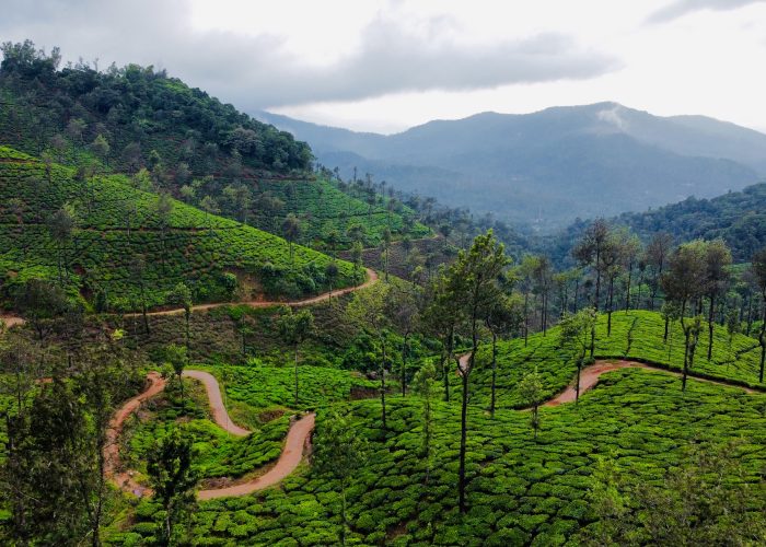 coorg chikmagalur tour packages